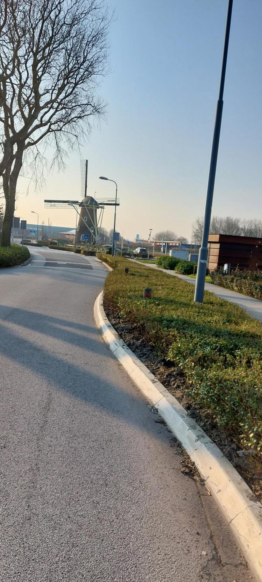 Willa Wijngaardstraat 7A Domburg Zewnętrze zdjęcie